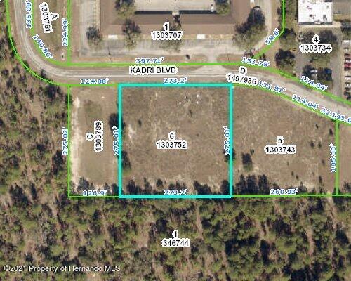 12160 Kadri Blvd, Spring Hill, FL 34608 - photo 3