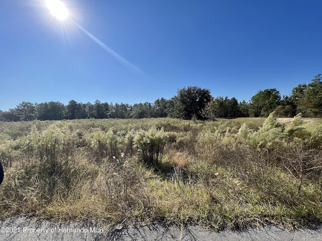 12160 Kadri Blvd, Spring Hill, FL 34608 - photo 5