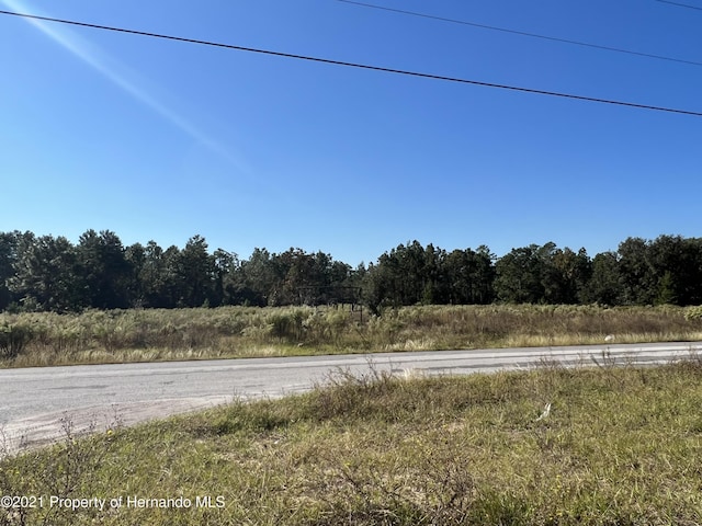12160 Kadri Blvd, Spring Hill, FL 34608 - photo 7