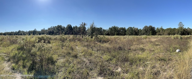 12160 Kadri Blvd, Spring Hill, FL 34608 - photo 8