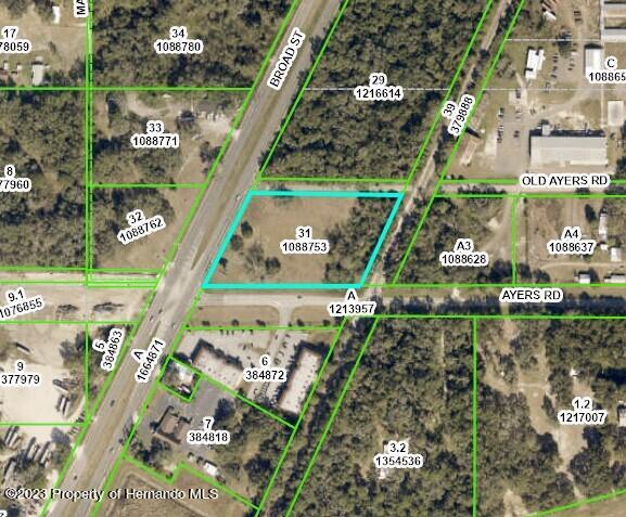 Listing photo 2 for 0 S Broad St, Brooksville FL 34601