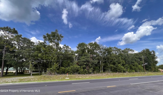 Listing photo 2 for 0 US Highway 19, Chiefland FL 32626