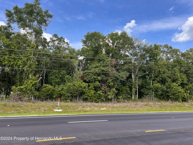 Listing photo 3 for 0 US Highway 19, Chiefland FL 32626