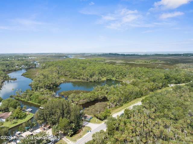 0 Marys Fish Camp Rd, Spring Hill FL, 34607 land for sale