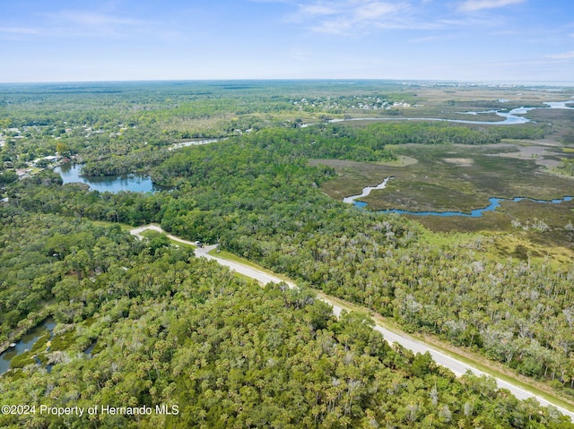 0 Marys Fish Camp Rd, Spring Hill, FL 34607 - photo 2