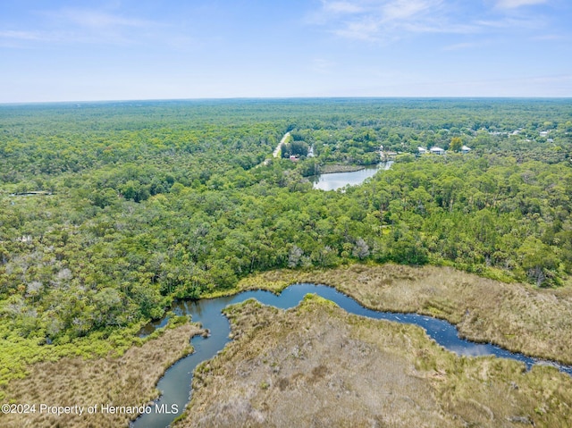 0 Marys Fish Camp Rd, Spring Hill, FL 34607 - photo 5