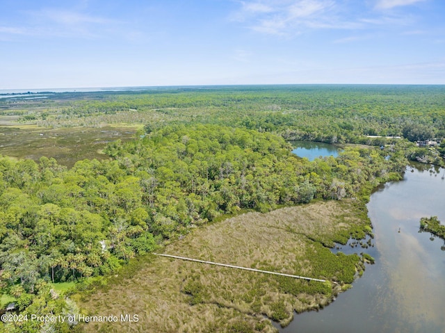 0 Marys Fish Camp Rd, Spring Hill, FL 34607 - photo 6