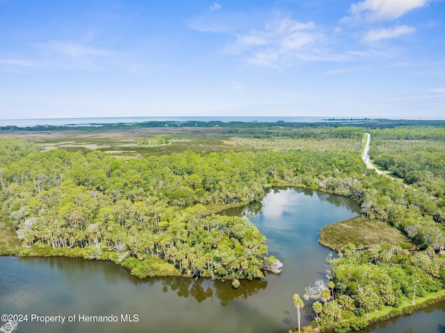 0 Marys Fish Camp Rd, Spring Hill, FL 34607 - photo 7