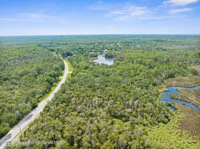 0 Marys Fish Camp Rd, Spring Hill, FL 34607 - photo 8