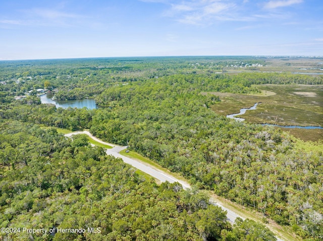 0 Marys Fish Camp Rd, Spring Hill, FL 34607 - photo 9