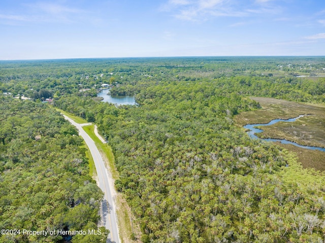 0 Marys Fish Camp Rd, Spring Hill, FL 34607 - photo 10
