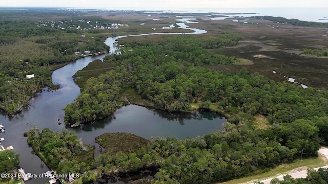 0 Marys Fish Camp Rd, Spring Hill, FL 34607 - photo 13