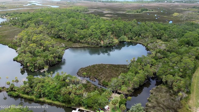 0 Marys Fish Camp Rd, Spring Hill, FL 34607 - photo 14