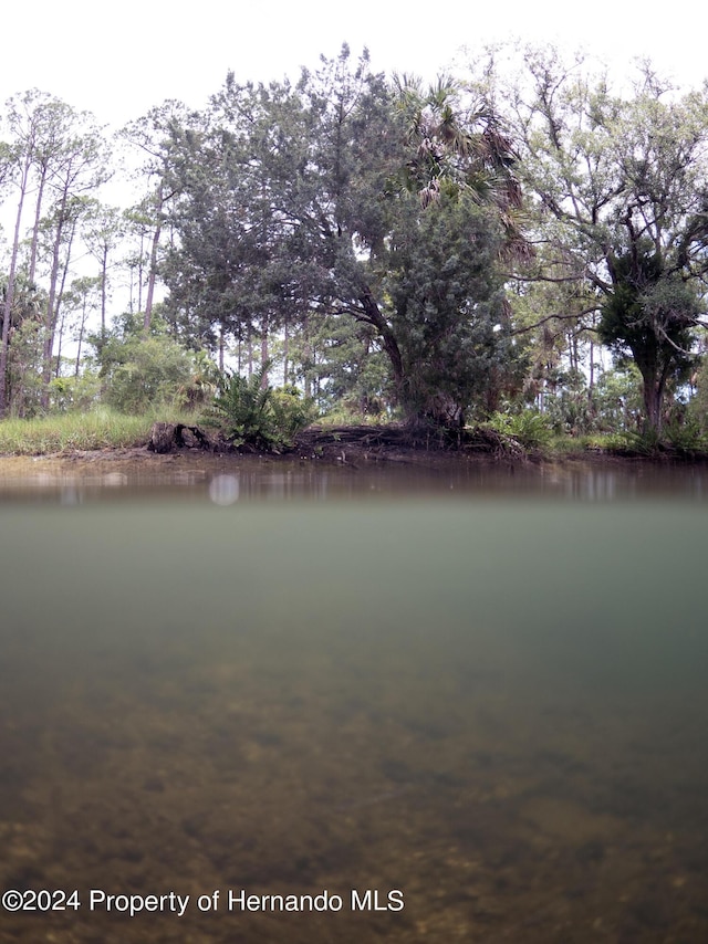 0 Marys Fish Camp Rd, Spring Hill, FL 34607 - photo 15