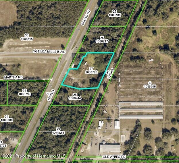 1410 Broad St, Brooksville, FL 34604 - photo 2