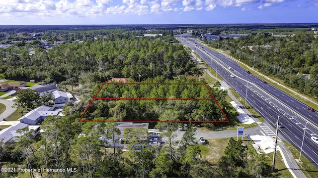 9990 Cortez Blvd, Spring Hill, FL 34606 - photo 8