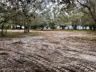 0 Kass Cir, Spring Hill FL, 34606 land for sale