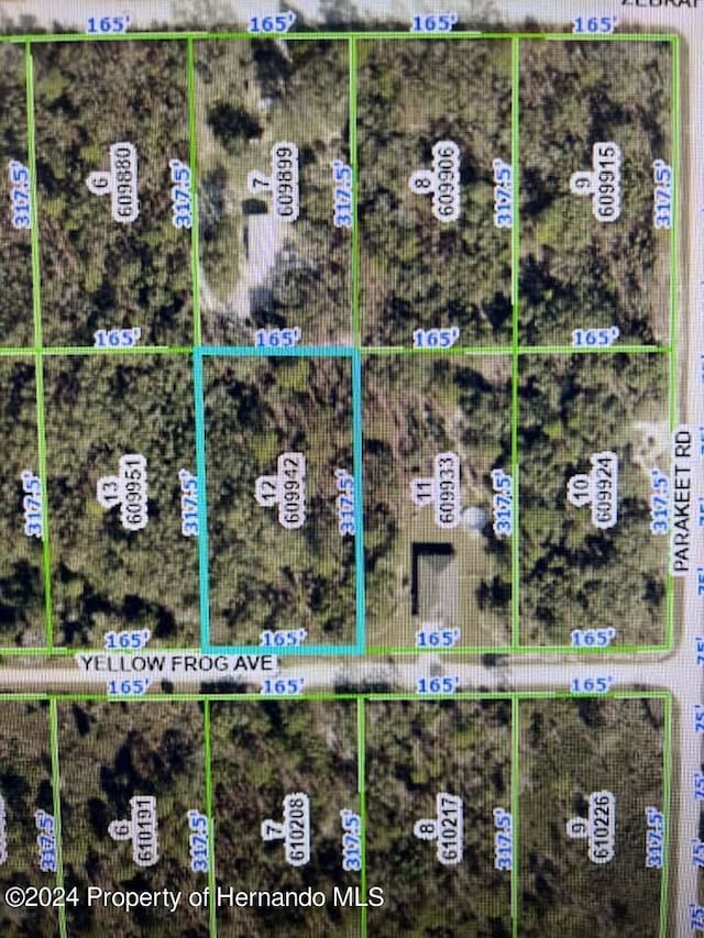 0 Yellow Frog Ave, Brooksville FL, 34614 land for sale