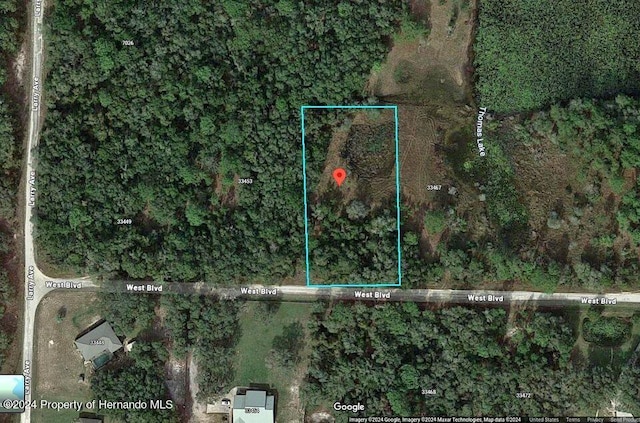 Listing photo 2 for 33461 W Blvd, Webster FL 33597