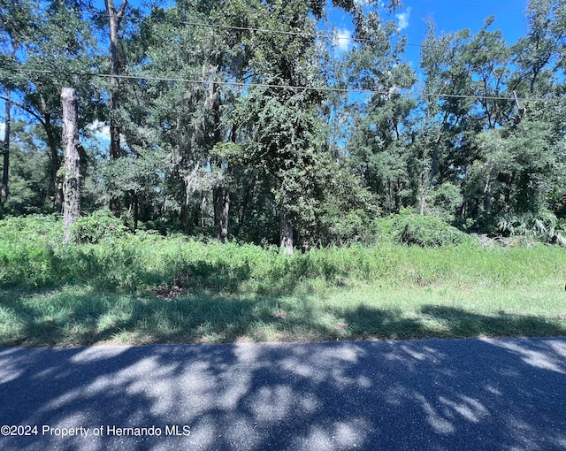 00 NW 90th Ct, Fanning Springs FL, 32693 land for sale