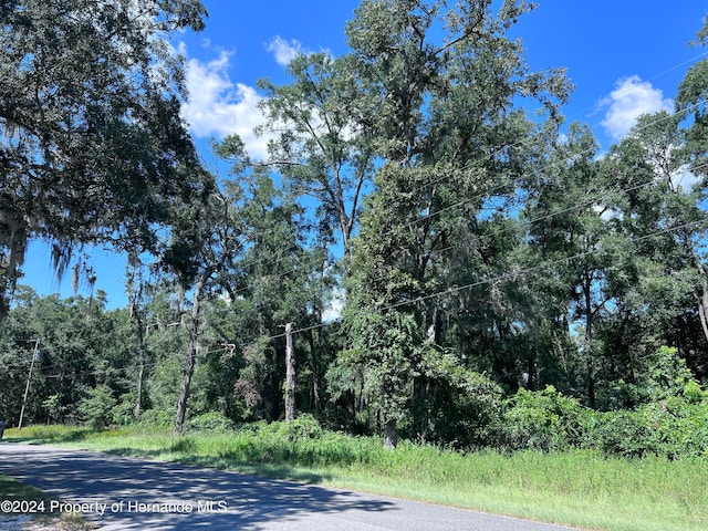 00 NW 90th Ct, Fanning Springs, FL 32693 - photo 4
