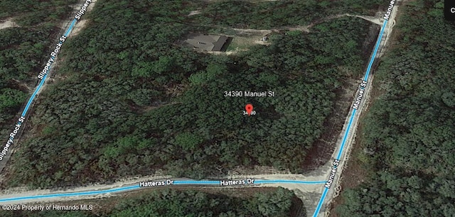 0 Manuel St N, Ridge Manor, FL 33523 - photo 3