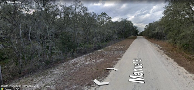 0 Manuel St N, Ridge Manor, FL 33523 - photo 4