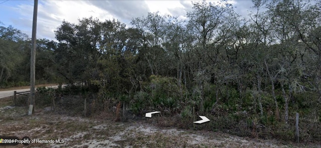 0 Manuel St N, Ridge Manor, FL 33523 - photo 5
