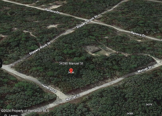 0 Manuel St N, Ridge Manor, FL 33523 - photo 6