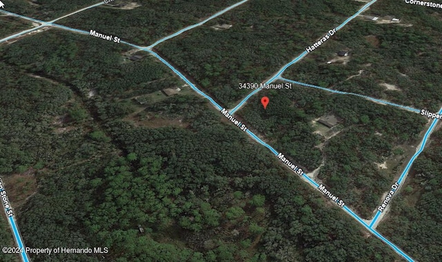 0 Manuel St N, Ridge Manor, FL 33523 - photo 2