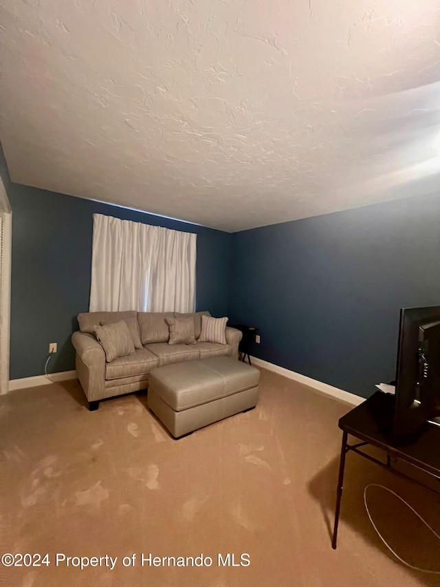 carpeted living room with a textured ceiling