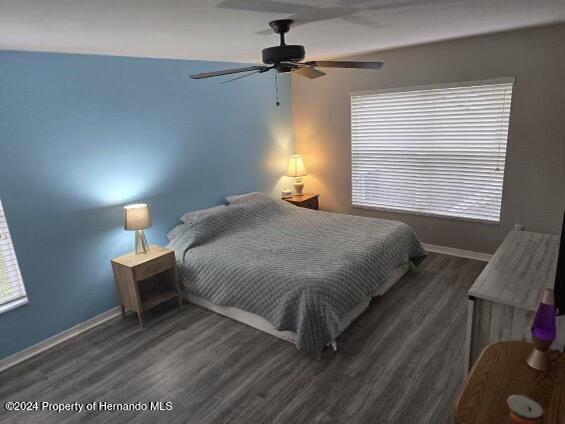 bedroom featuring multiple windows, dark hardwood / wood-style floors, and ceiling fan