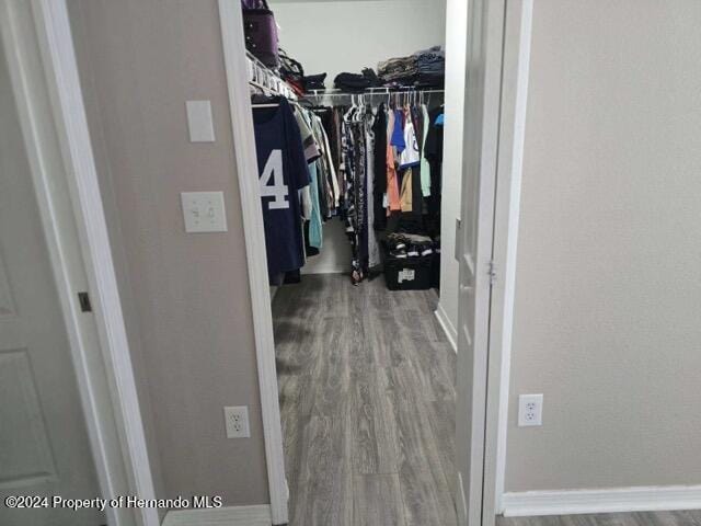 walk in closet featuring wood-type flooring