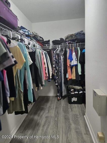 walk in closet featuring hardwood / wood-style floors