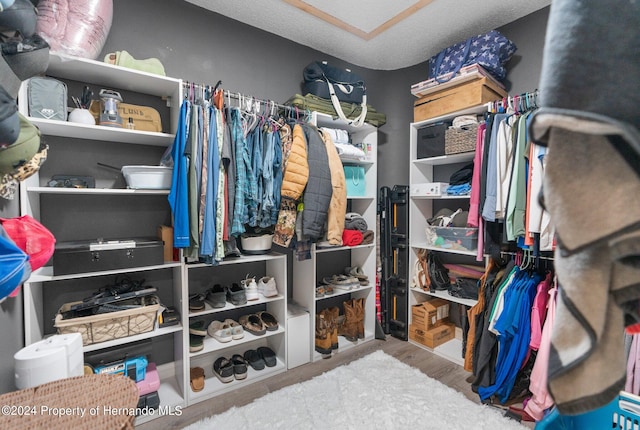 walk in closet with light hardwood / wood-style floors