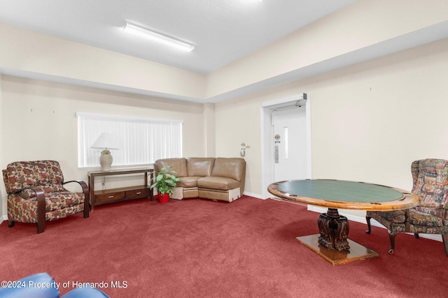 sitting room with carpet flooring