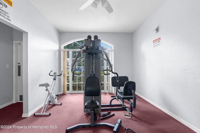 exercise room with ceiling fan and carpet flooring