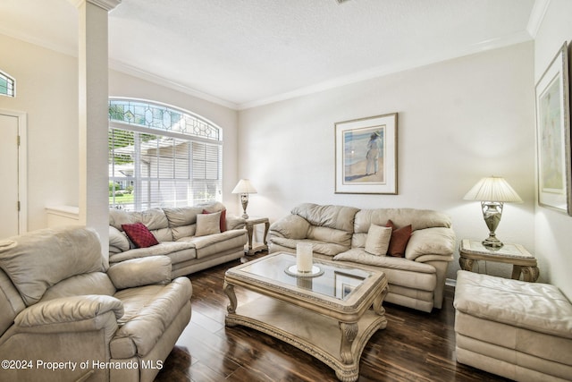 living room with a textured ceiling, dark hardwood / wood-style floors, and crown molding