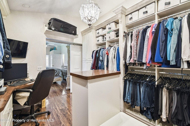 spacious closet featuring dark wood-type flooring