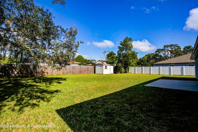 view of yard featuring a patio and a storage shed