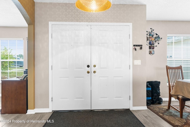 entrance foyer featuring hardwood / wood-style floors and a healthy amount of sunlight