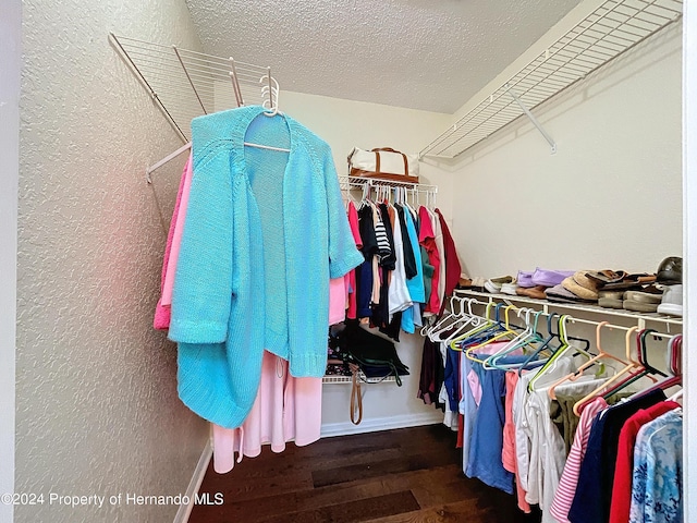 spacious closet with dark hardwood / wood-style floors