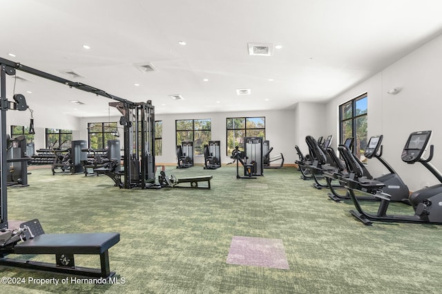 8016 Bellevista Ct, Spring Hill, FL 34606 - exercise room featuring recessed lighting, plenty of natural light, carpet, and baseboards