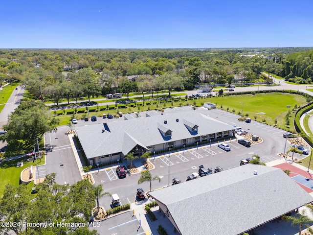 8016 Bellevista Ct, Spring Hill, FL 34606 - drone / aerial view
