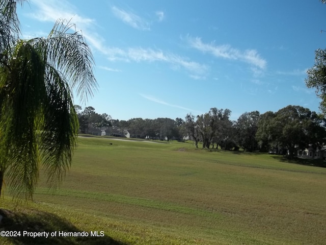 8016 Bellevista Ct, Spring Hill, FL 34606 - view of community featuring a lawn