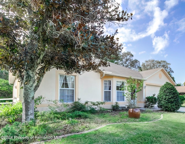 obstructed view of property featuring a garage and a front lawn