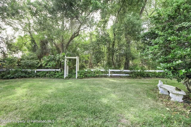 3472 Hartley Rd, Spring Hill, FL 34606 - view of grassy yard