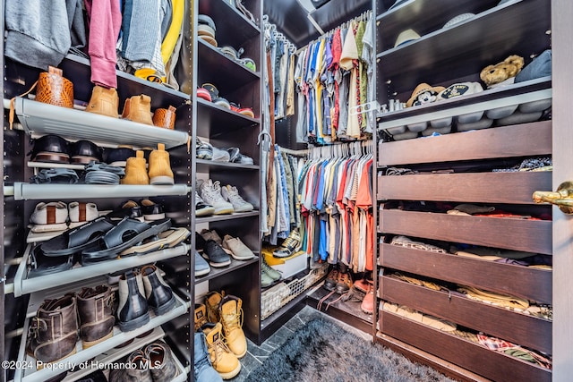 view of spacious closet