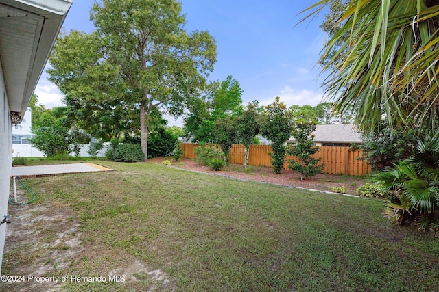 12161 Cavern Rd, Spring Hill, FL 34609 - view of fenced backyard