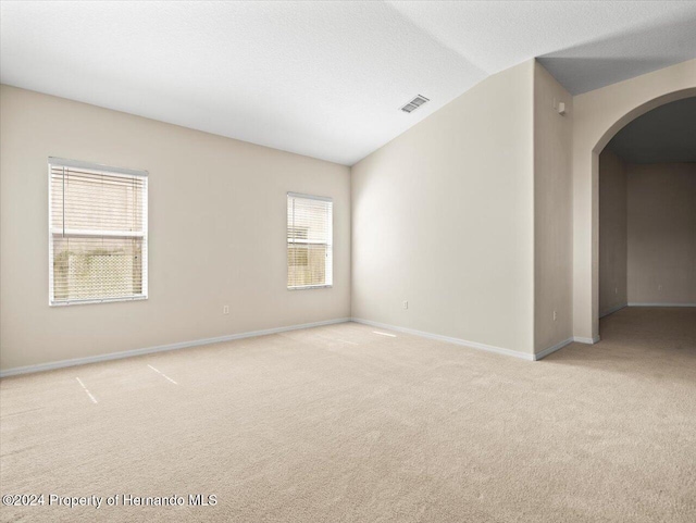 4264 Braemere Dr, Brooksville, FL 34609 - spare room featuring plenty of natural light, lofted ceiling, and light colored carpet